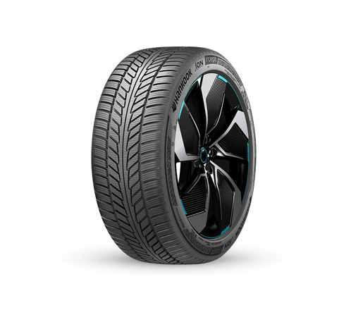 Model Y Performance 21'' Hankook iON iCept EV Arka Kış Lastiği 275/35R21