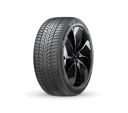 Model Y Performance 21'' Hankook iON iCept EV Arka Kış Lastiği 275/35R21